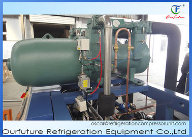 低雑音のフリーザーの冷蔵室のための凝縮の単位ねじ冷却ユニット