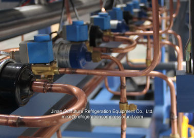 冷蔵室の蒸化器のユニット・クーラーの圧縮機の単位の水によって冷却されるセリウム CCC QS
