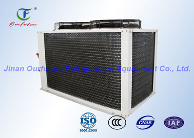Danfoss のフリーザーのコマーシャルの食糧のための空気によって冷却される冷凍の圧縮機の単位